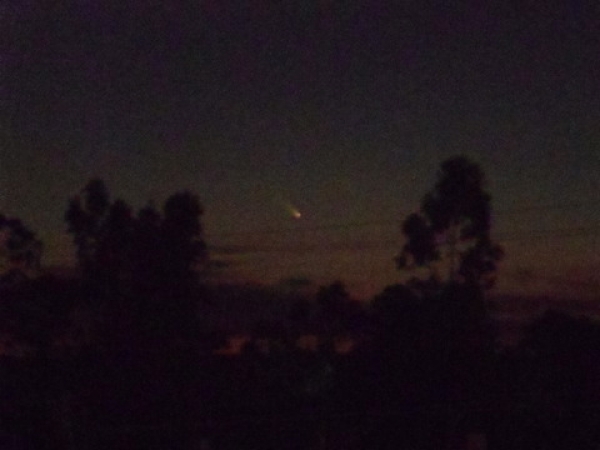 Cometa C/2011 L4 PANSTARRS visto de Araatuba, SP