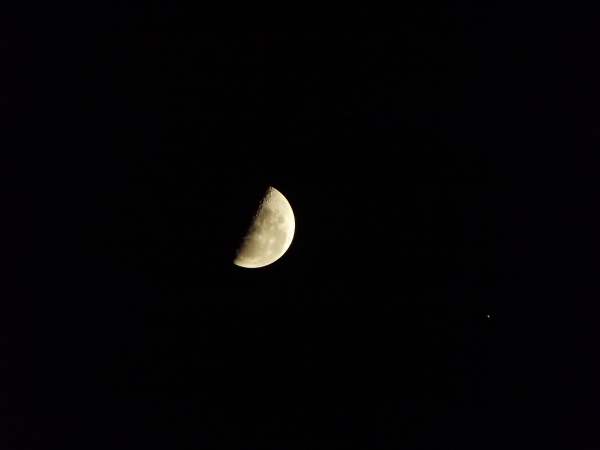 Lua e Jupiter em Osasco /SP