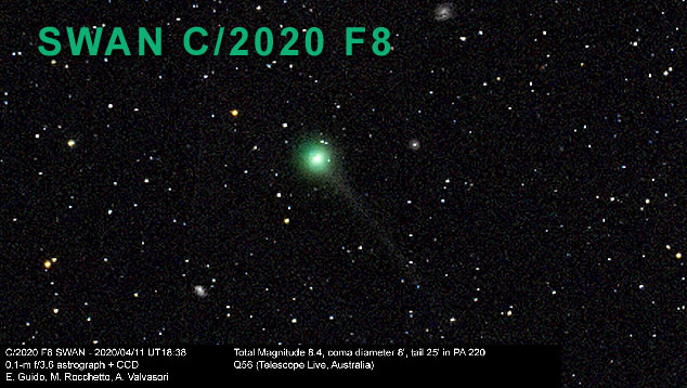 Registro feito pela equipe do astrnomo Ernest Guido mostra a coma verde do cometa C/2020 F8 SWAN. 