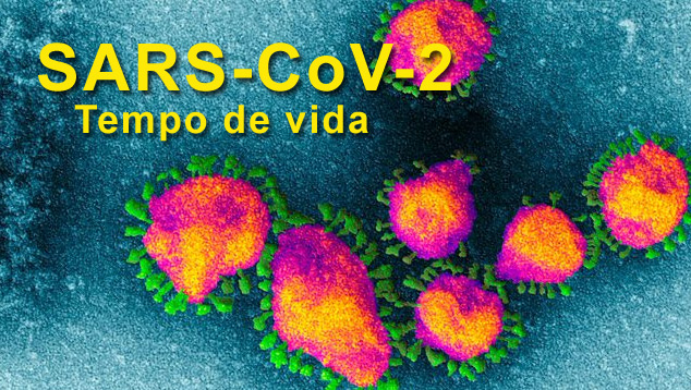 Coronavirus em imagem feita por microscpio eletrnico. O nome 'coronavirus' vem da aparncia do halo externo, em forma de cora. 
