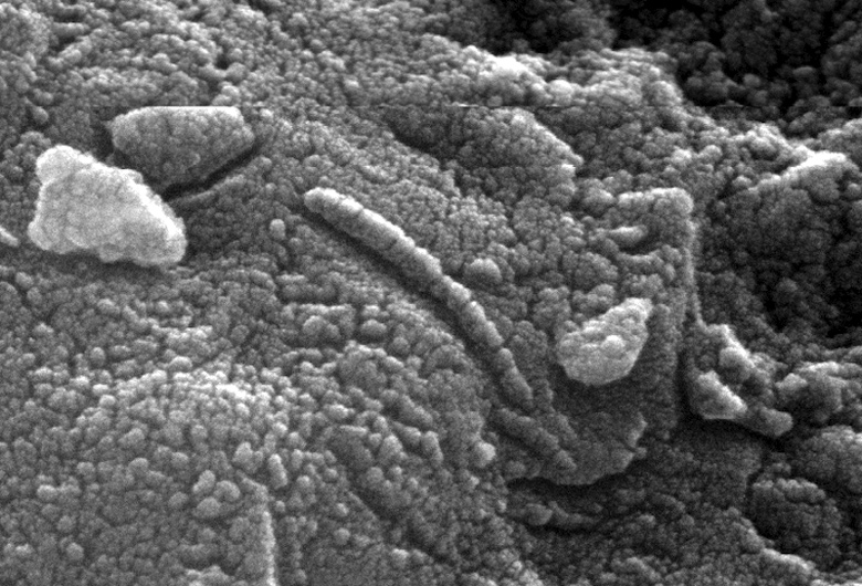 Estrutura encontrada no meteorito Allan Hills 84001, em 1996. Essaa feio se assemelha a bactrias fossilizadas semelhantes a vermes. At hoje, o debate sobre sua origem continua, mas a maioria dos cientistas agora concorda que se trata de um tipo de falso fssil. Crdito: Vanderbilt University. <BR>