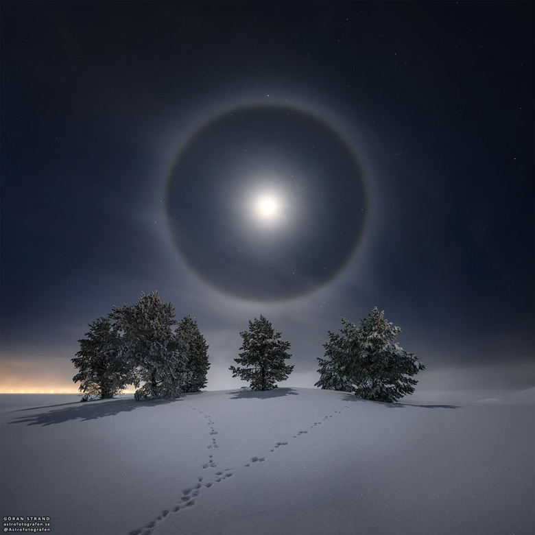 Nesta imagem, feita em janeiro de 2021, o fotgrafo Gran Strand registrou esse belo halo lunar nas cercanias de stersund, na Sucia. Na cena  possvel ver a paisagem repleta de gelo, marcada por rvores congeladas e pegadas de coelhos nativos. Crdito: NASA/APOD<BR>