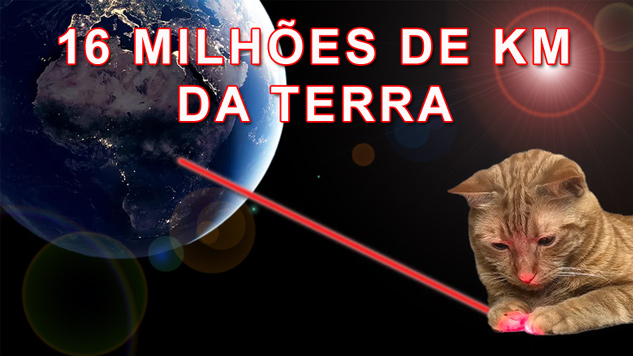Gato Taters brinca com ponto de laser em video emitido a 16 milhes de km da Terra.